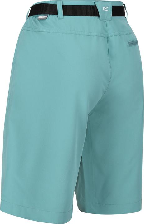 Actual product image Regatta Womens/Ladies Xert Stretch Shorts (36)