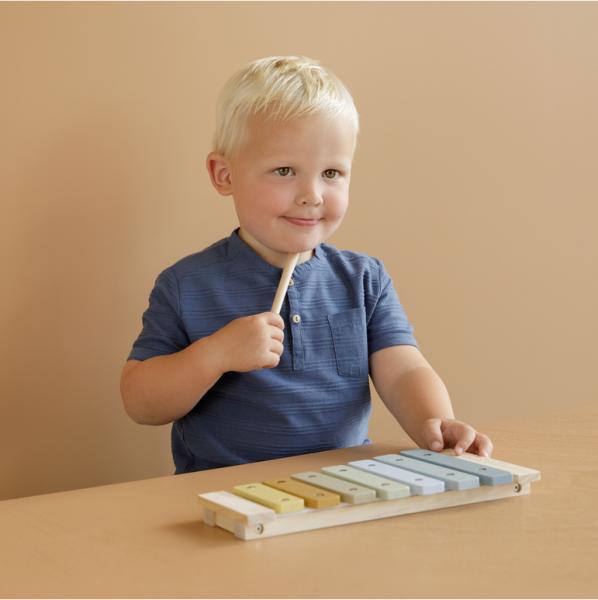 Immagine prodotto Little Dutch Xilofono (Tedesco, Inglese, Italiano, Francese, Olandese, Svizzero-tedesco)