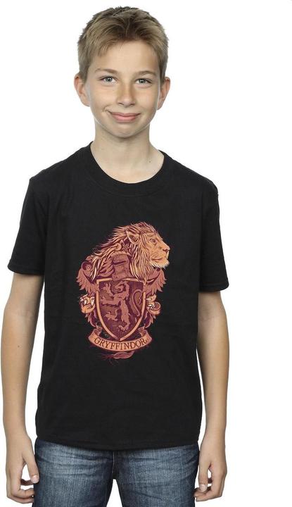 Produktbild Gryffindor Sketch Crest TShirt Jungen (152, 158)