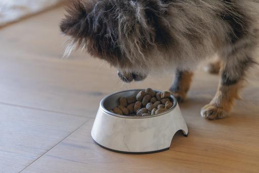 Actual product image Designed by Lotte Dog bowl Meis (0.16 l)
