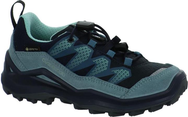 Immagine prodotto Lowa Maddox Pro GTX LO (27)