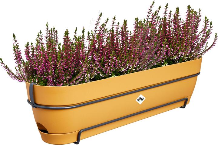Produktbild Elho Vibia Campana (26 cm)