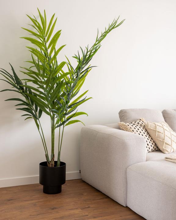 Image du produit Kave Home Palmera (180 cm)