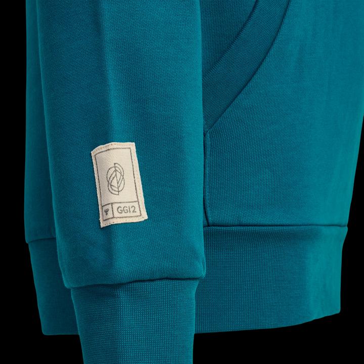 Image du produit hummel Gg12 Sweat Hoodie Kids (116)