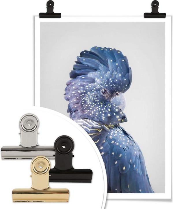 Actual product image Trenddeko Blue cockatoo (60 x 80 cm)
