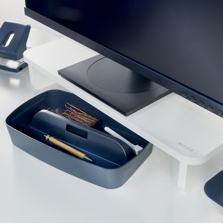 Actual product image Leitz Ergo 64340001
