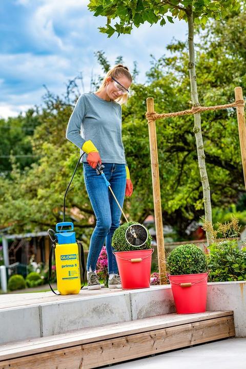 Actual product image Gloria Haus und Garten Sprayer Plant Protection Set 2in1