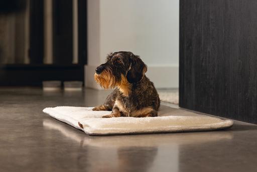 Actual product image Designed by Lotte Nalino (Dog)