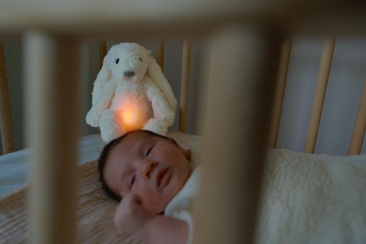 Image du produit ZaZu RO le lapin blanc