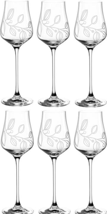 Leonardo Grappa glass Boccio 210 ml, 6 pieces, Transparent (2.10 dl, 6 x, Liqueur glasses + grappa glasses)