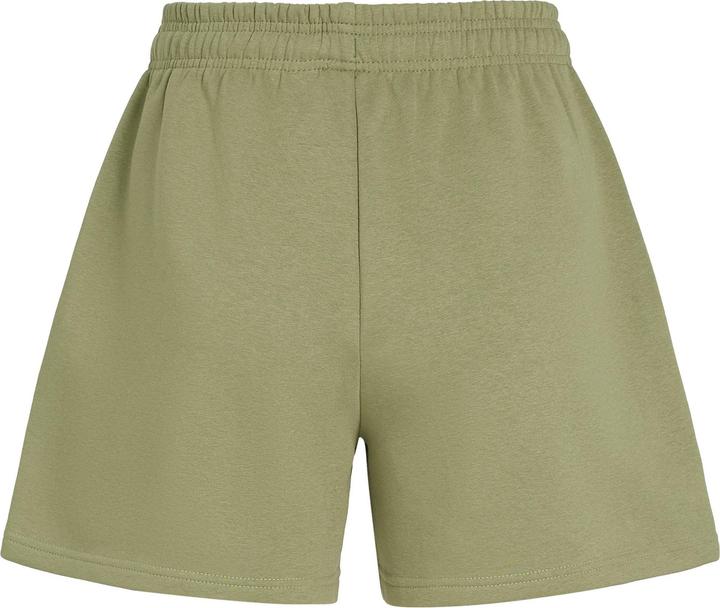 Actual product image O'Neill The Future Surf Society Shorts (L)