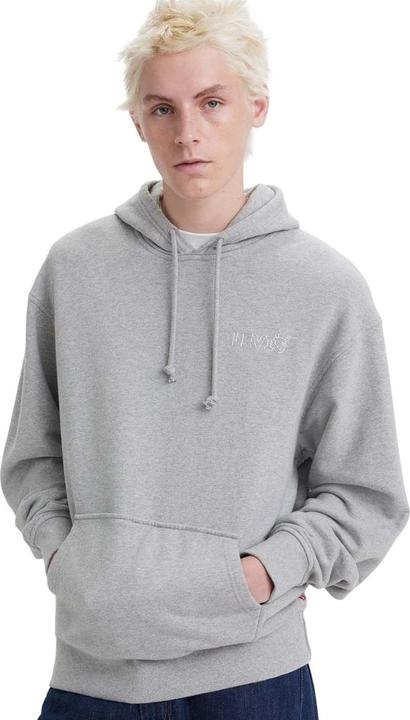 Actual product image Levis Mens Graphic Relaxed Fit Hoodie (M)
