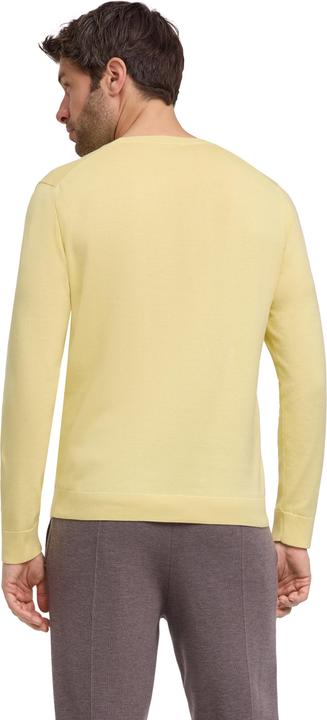 Actual product image Falke Men Pullover (M)