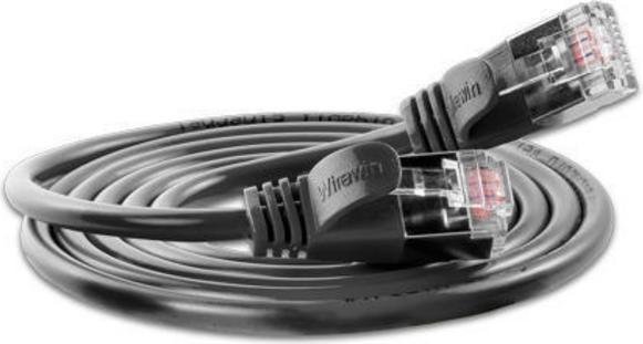 Actual product image Wirewin Network cable (F/FTP, CAT6, 0.15 m)