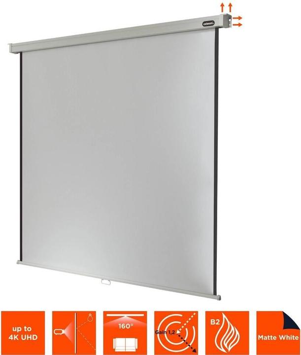 Produktbild Celexon Rollo Professional, Leinwand, 1:1 (87.68", 1:1)