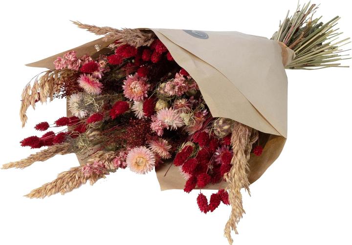 Actual product image Anjel Dried flowers (Dried flowers)