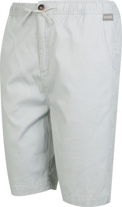 Image du produit Regatta - Short ALDAN - Homme (36)