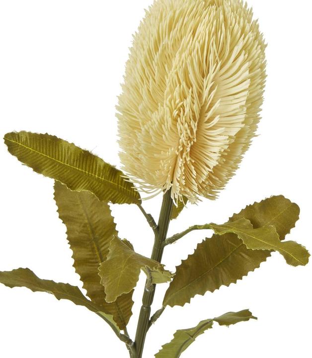 Produktbild Hill Interiors Kunstblume (65 cm)