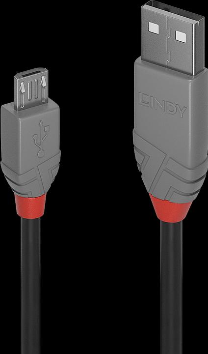 Immagine prodotto Lindy Anthra Line (0.20 m, USB 2.0)
