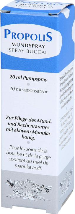 Produktbild Remmele Mundspray mit aktiven Manukahonig (20 ml, Mundspray)