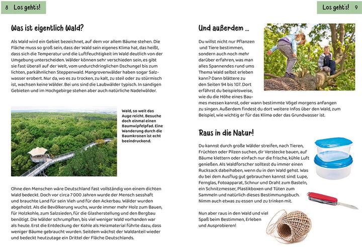 Produktbild Kosmos Was lebt im Wald? Kindernaturführer (Deutsch, Holger Haag, 2024)