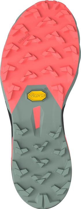 Actual product image Dynafit Alpine Pro 2 Laufschuh (37)