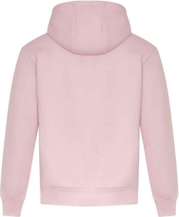 Actual product image Awdis Unisex Adult Signature Heavyweight Hoodie (XXL)