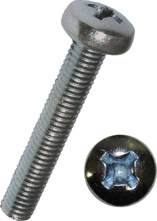 Werkstarck Viti in metallo (100 Viti per pezzo)