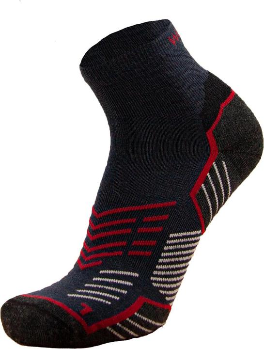 Immagine prodotto Wapiti Pantaloncini Merino da trekking GT04 (45 - 47)