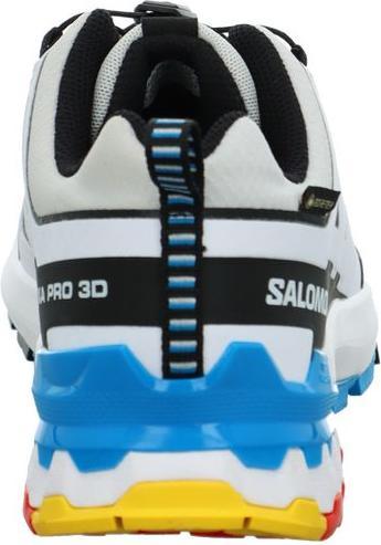Actual product image Salomon Outdoor shoe XA PRO 3D V9 GTX W Luna (37.5)