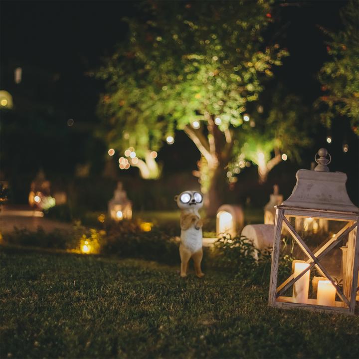Produktbild Relaxdays Gartenfigur Erdmännchen