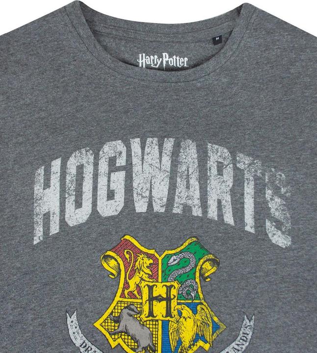 Image du produit T-shirt (L)