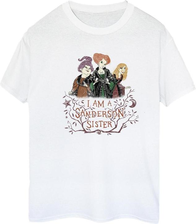 Produktbild Disney Hocus Pocus Sanderson Sister TShirt (3XL)