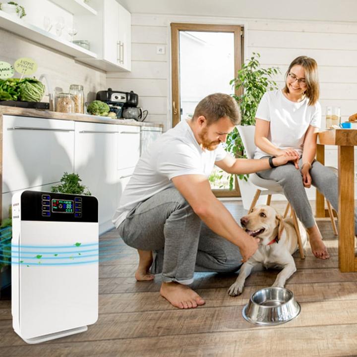 Actual product image Livington Air Purifier 6 1 (30 m²)