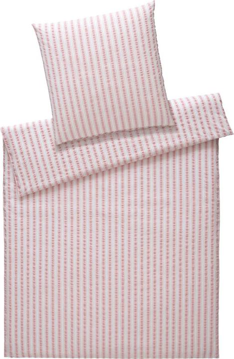zart-pink