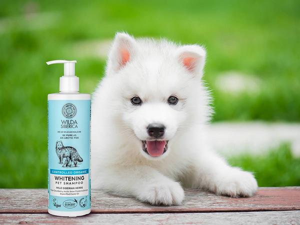 Image du produit Wilda Siberica après-shampooing WHITENING, 5 l (5000 ml)