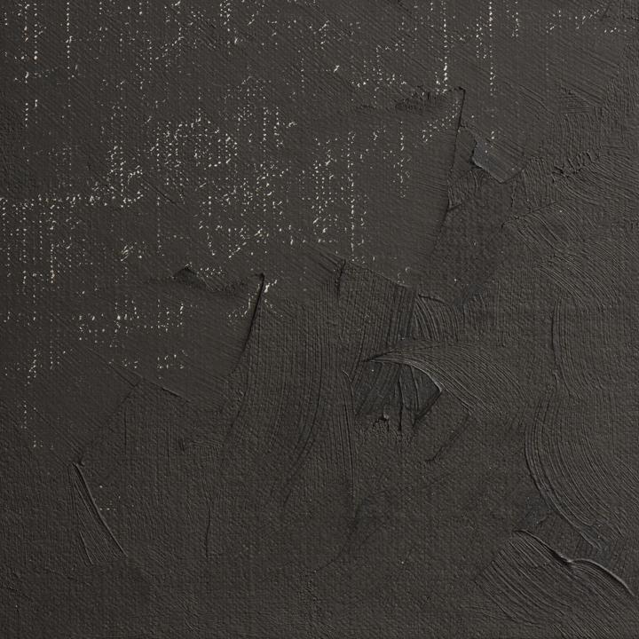 Noir de la vigne