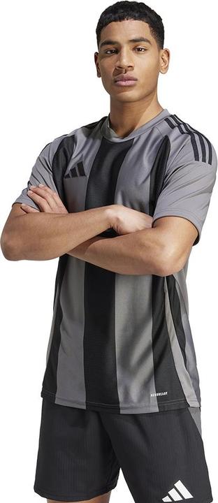Actual product image adidas Striped 24 Jersey (S)