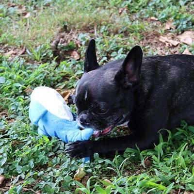 Productafbeelding Croci Spa Dansende Vis bewegende vis voor honden 27x7cm