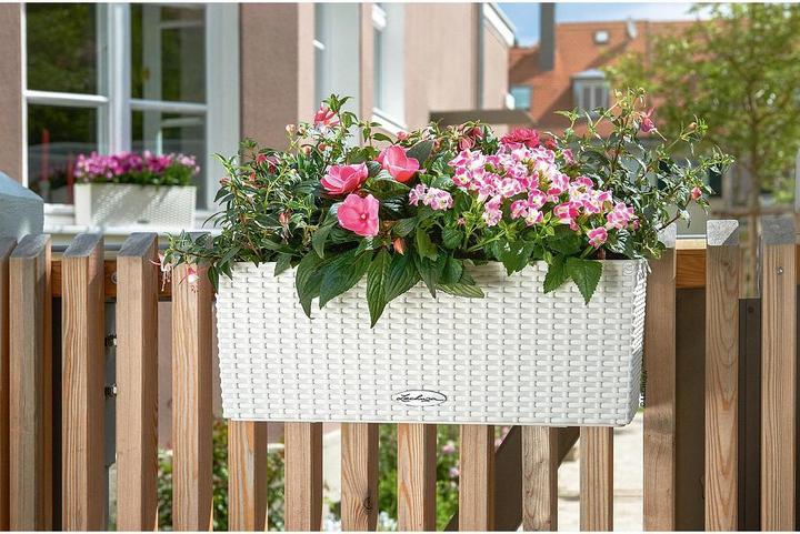 Image du produit Lechuza Pot de fleurs Balconera Cottage 50 (19 cm)