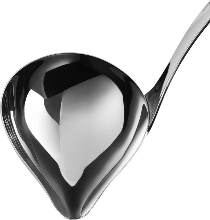 Actual product image WMF Watering Spoon Profi Plus