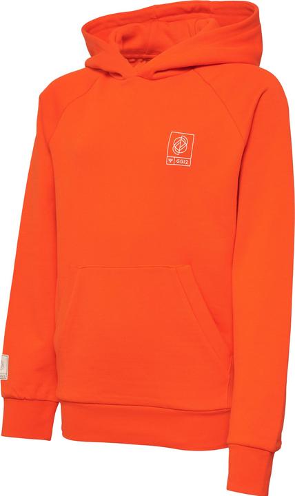 Actual product image hummel Gg12 Sweat Hoodie Kids (176)