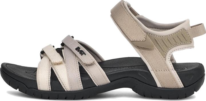 Birch Multi, Black