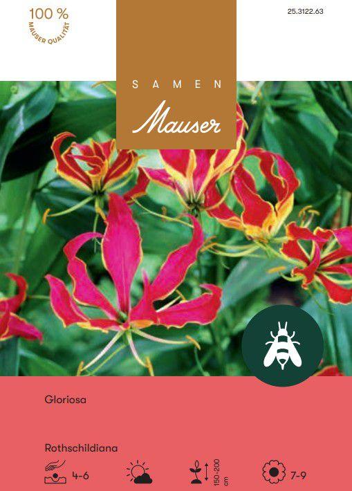 Produktbild Samen Mauser Gloriosa Rothschildiana (Blumensamen)
