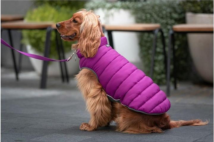Actual product image Red Dingo Dog coat puffer 50 cm pink/purple (Dog coat)