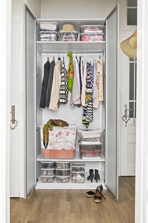 Actual product image Rotho Arco (56.5 x 38 x 34 cm, 50 l)