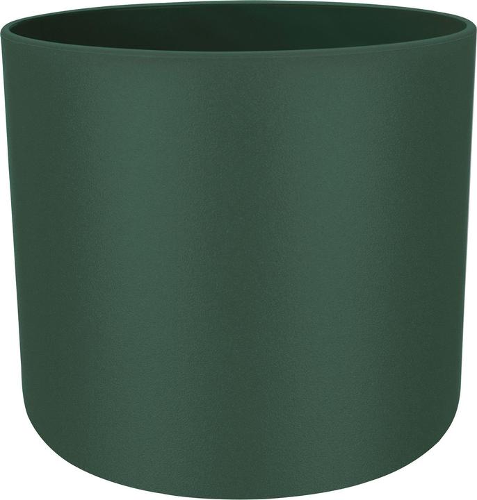 Feuille Vert