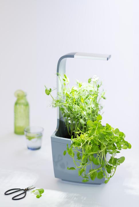 Immagine prodotto Tregren Vaso per erbe T3 (19.50 cm)