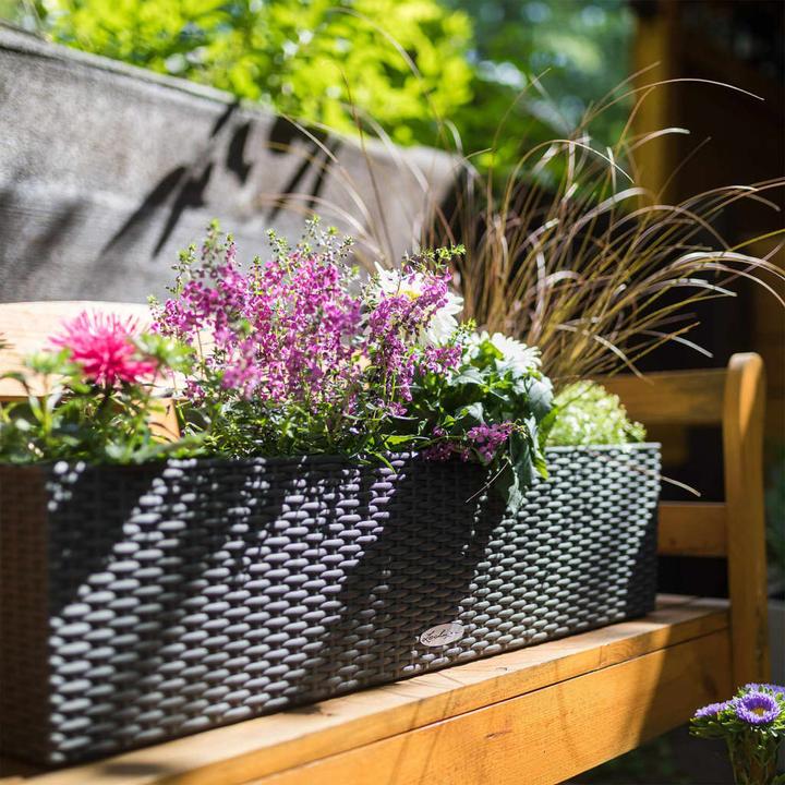 Actual product image Lechuza Balconera Cottage (19 cm)
