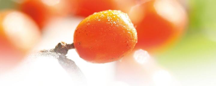Image du produit Weleda Douche revitalisante à l'Argousier (200 ml)